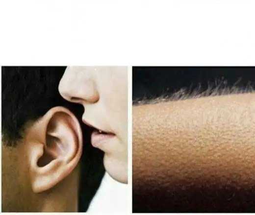 meme piel erizada